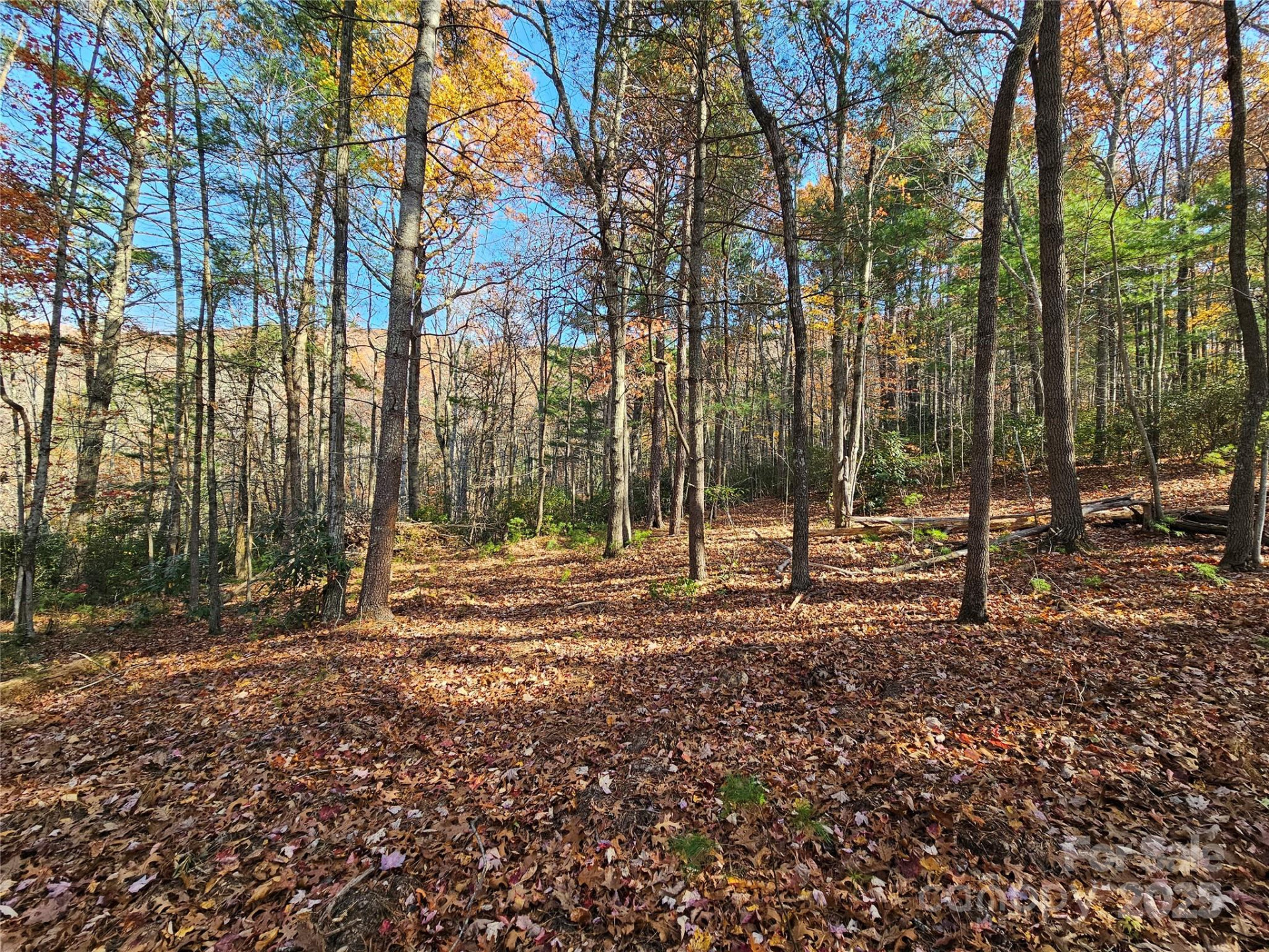 9999-17 Bob Barnwell Road - Photo 7