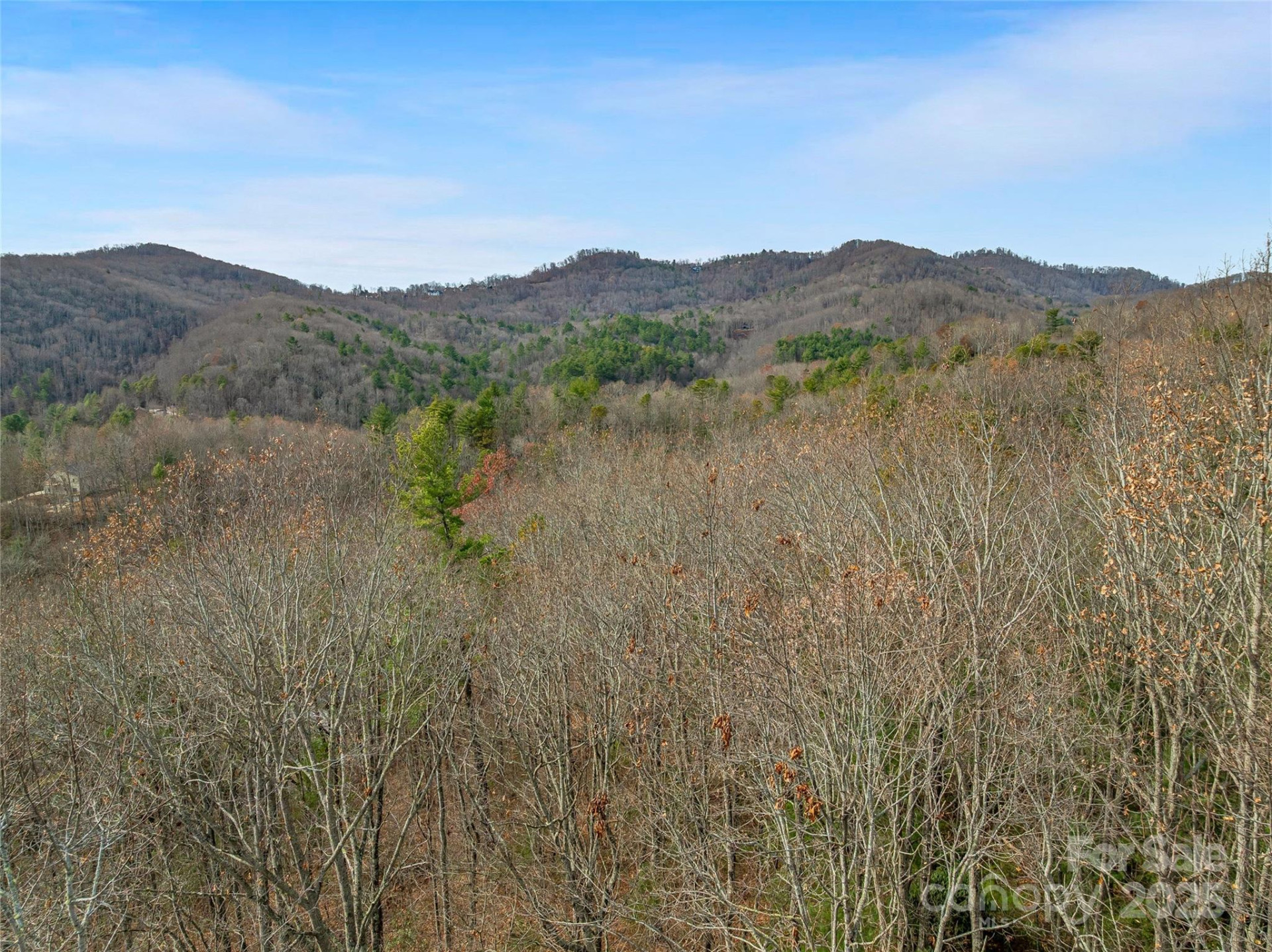 9999-18 Bob Barnwell Road - Photo 11