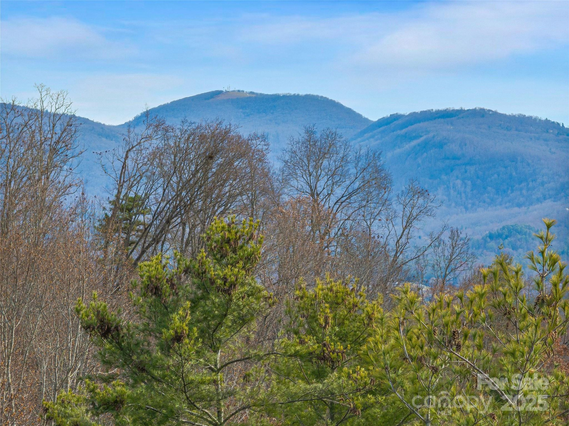 9999-18 Bob Barnwell Road - Photo 12