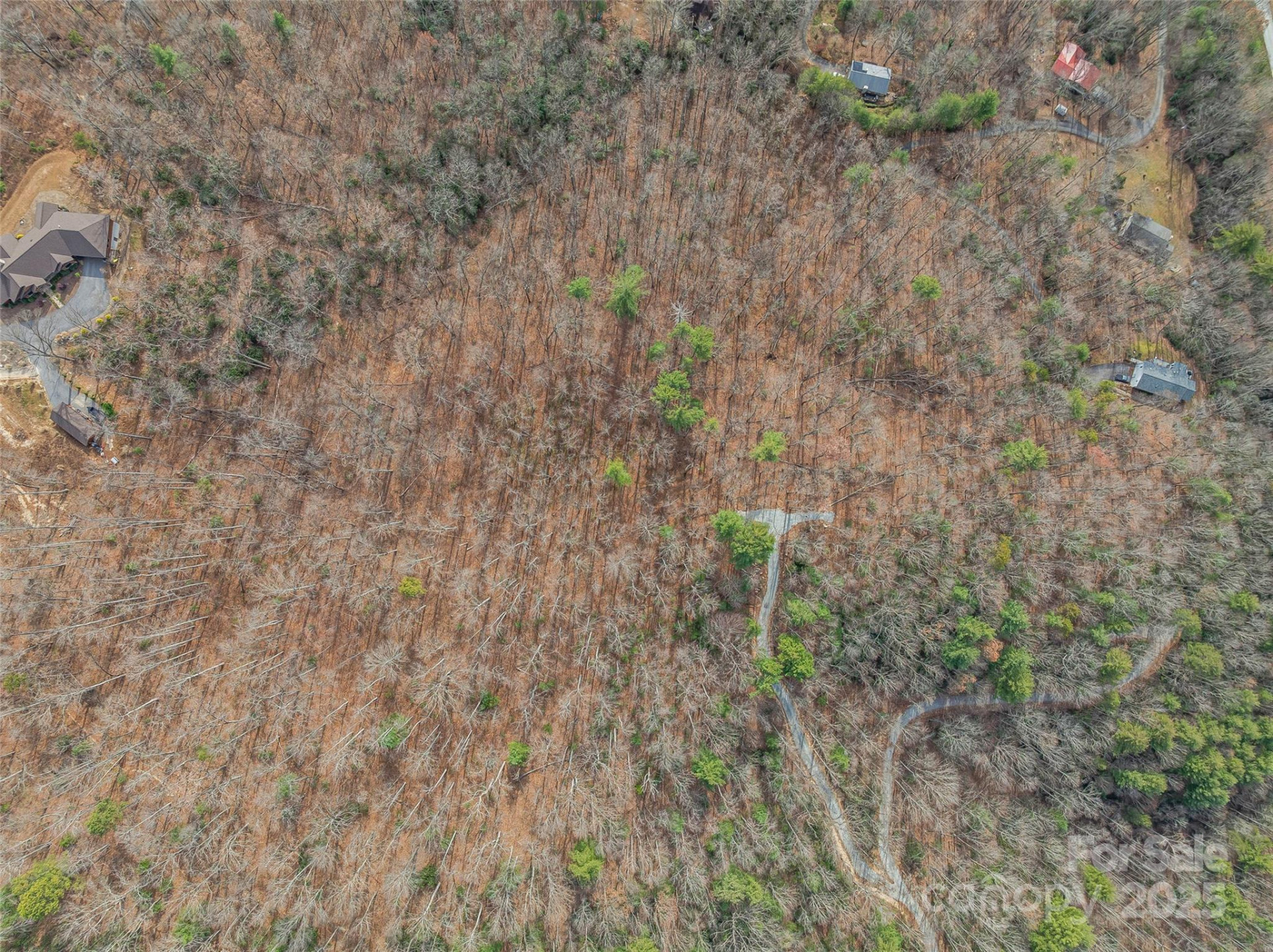 9999-18 Bob Barnwell Road - Photo 14