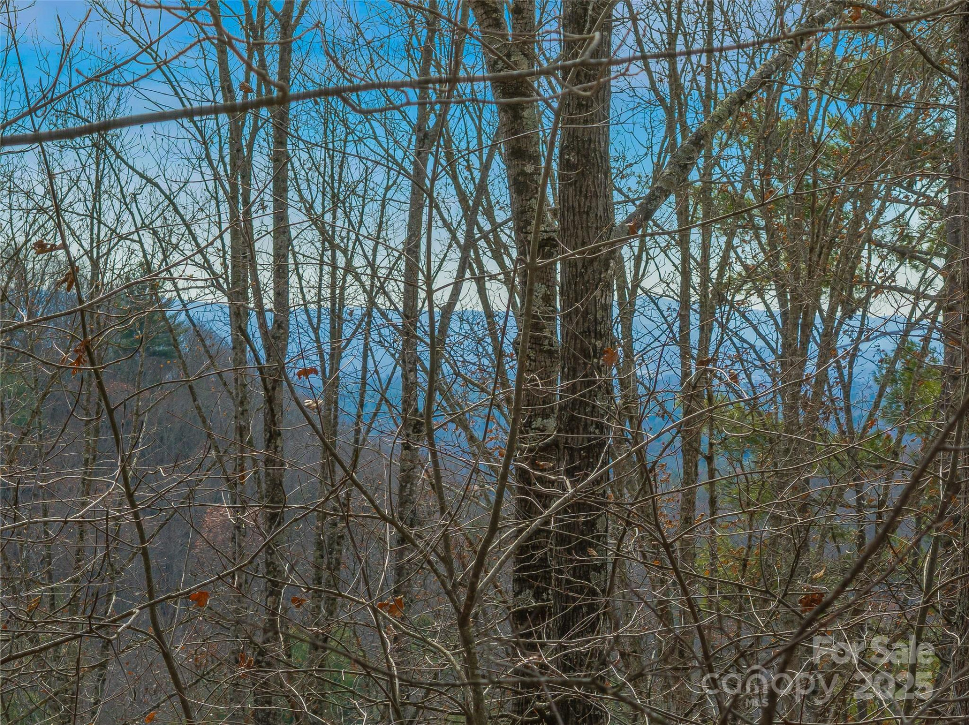 9999-18 Bob Barnwell Road - Photo 19