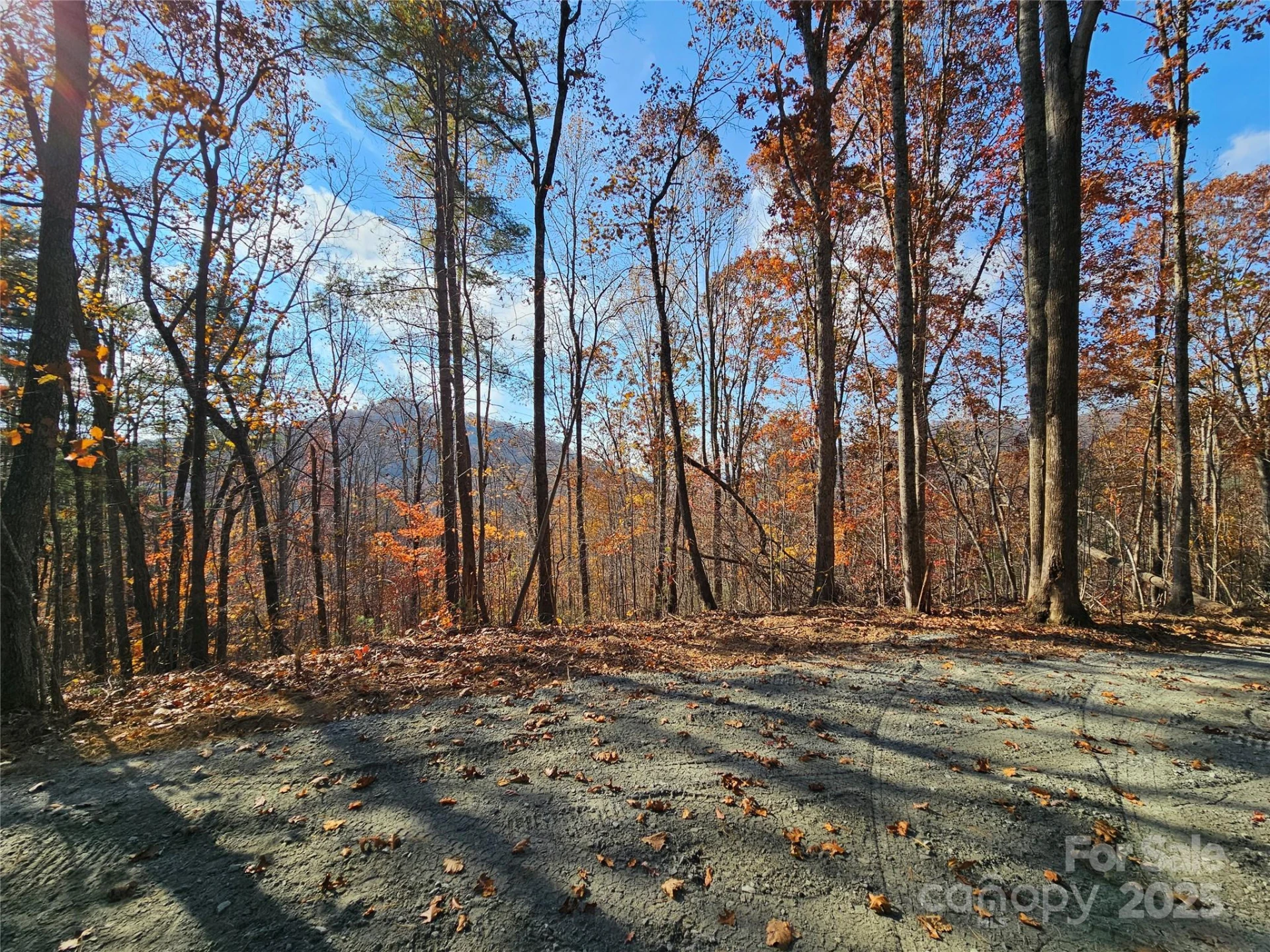 9999-18 Bob Barnwell Road - Photo 3