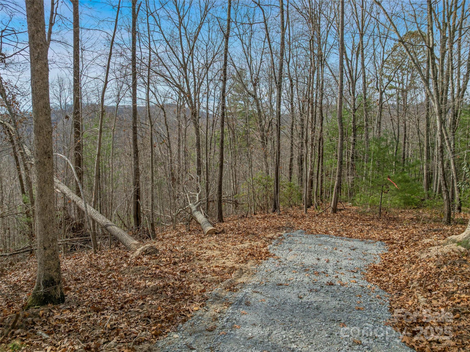 9999-18 Bob Barnwell Road - Photo 23