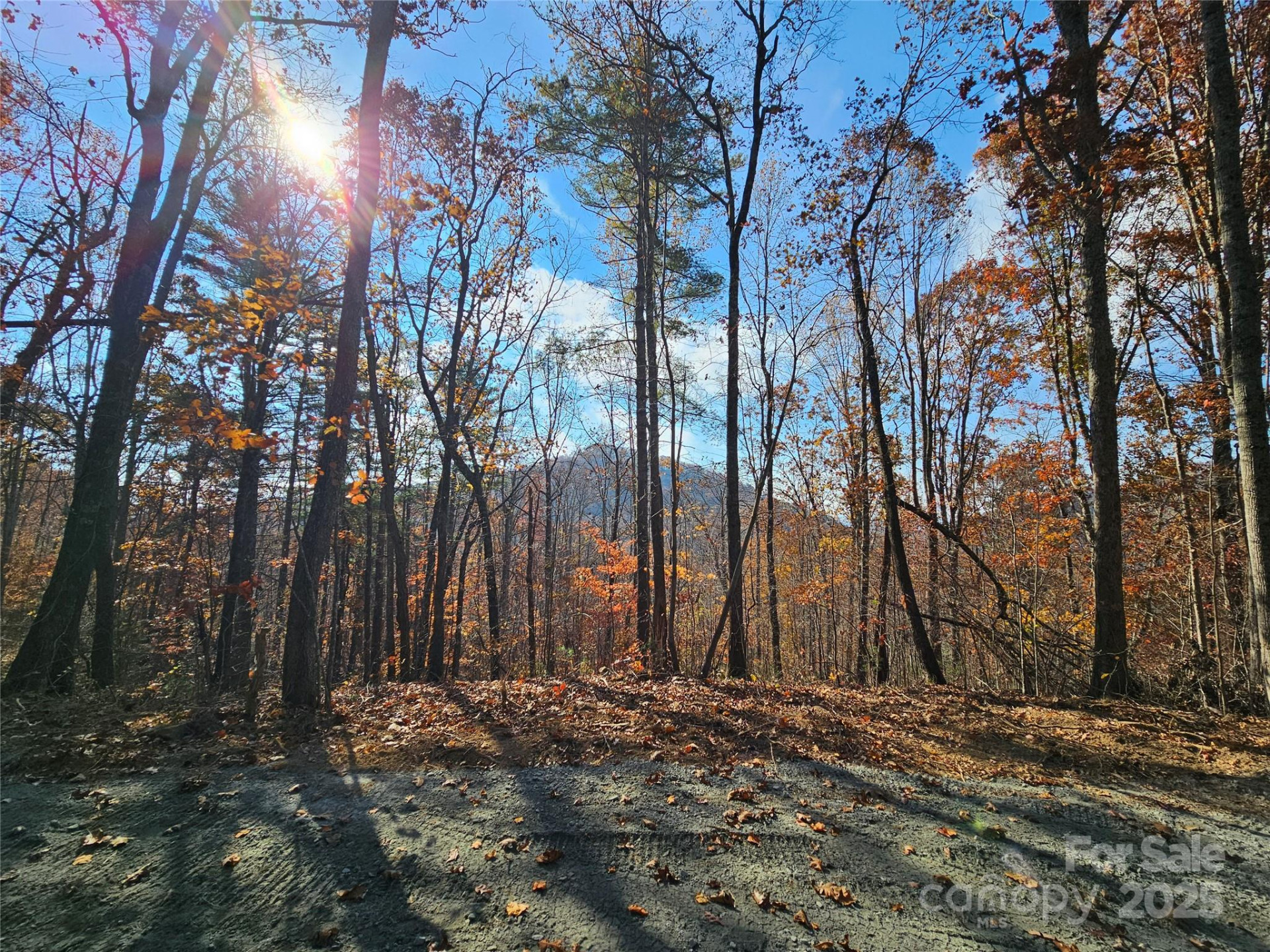 9999-18 Bob Barnwell Road - Photo 4