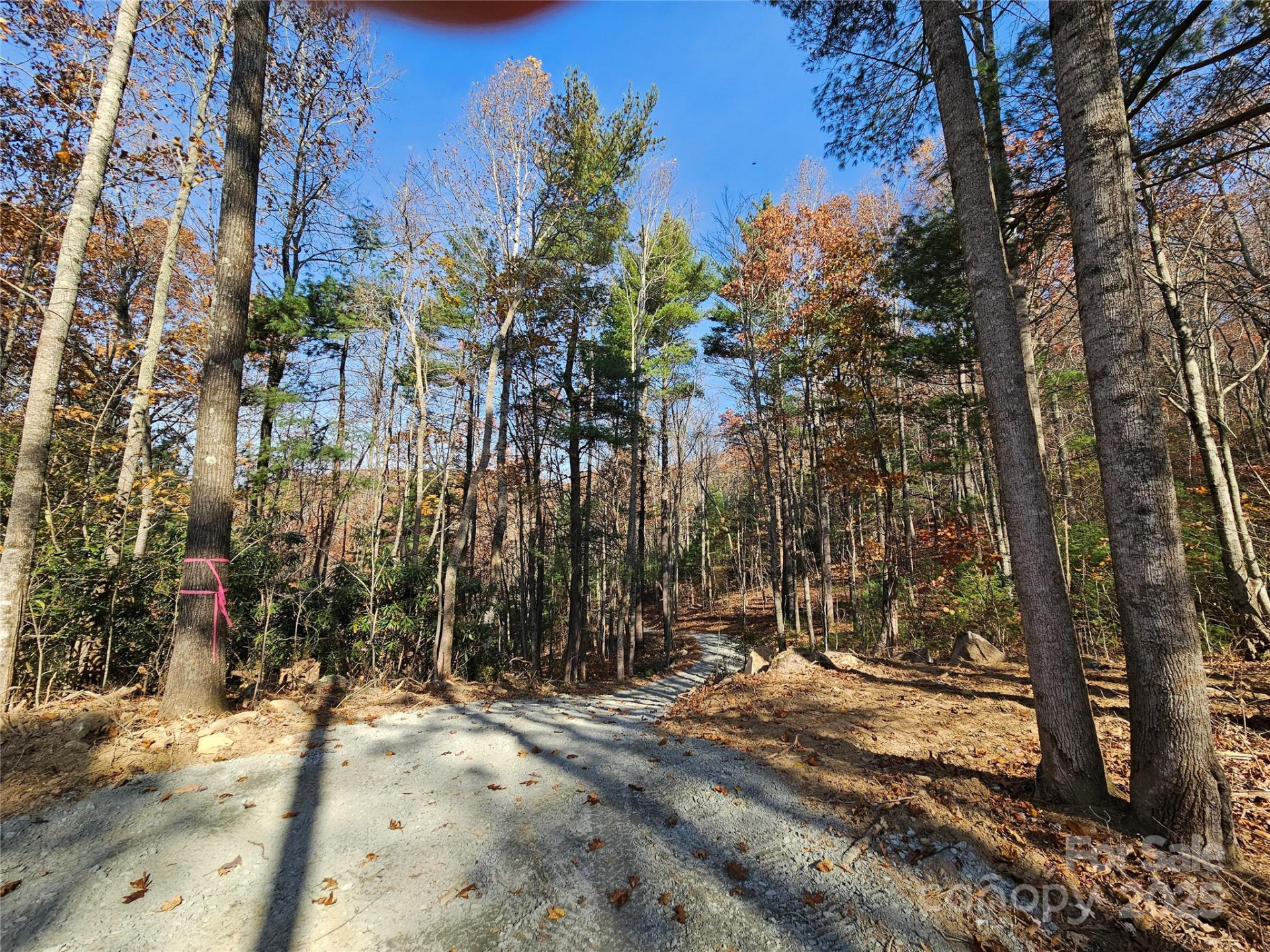 9999-18 Bob Barnwell Road - Photo 6