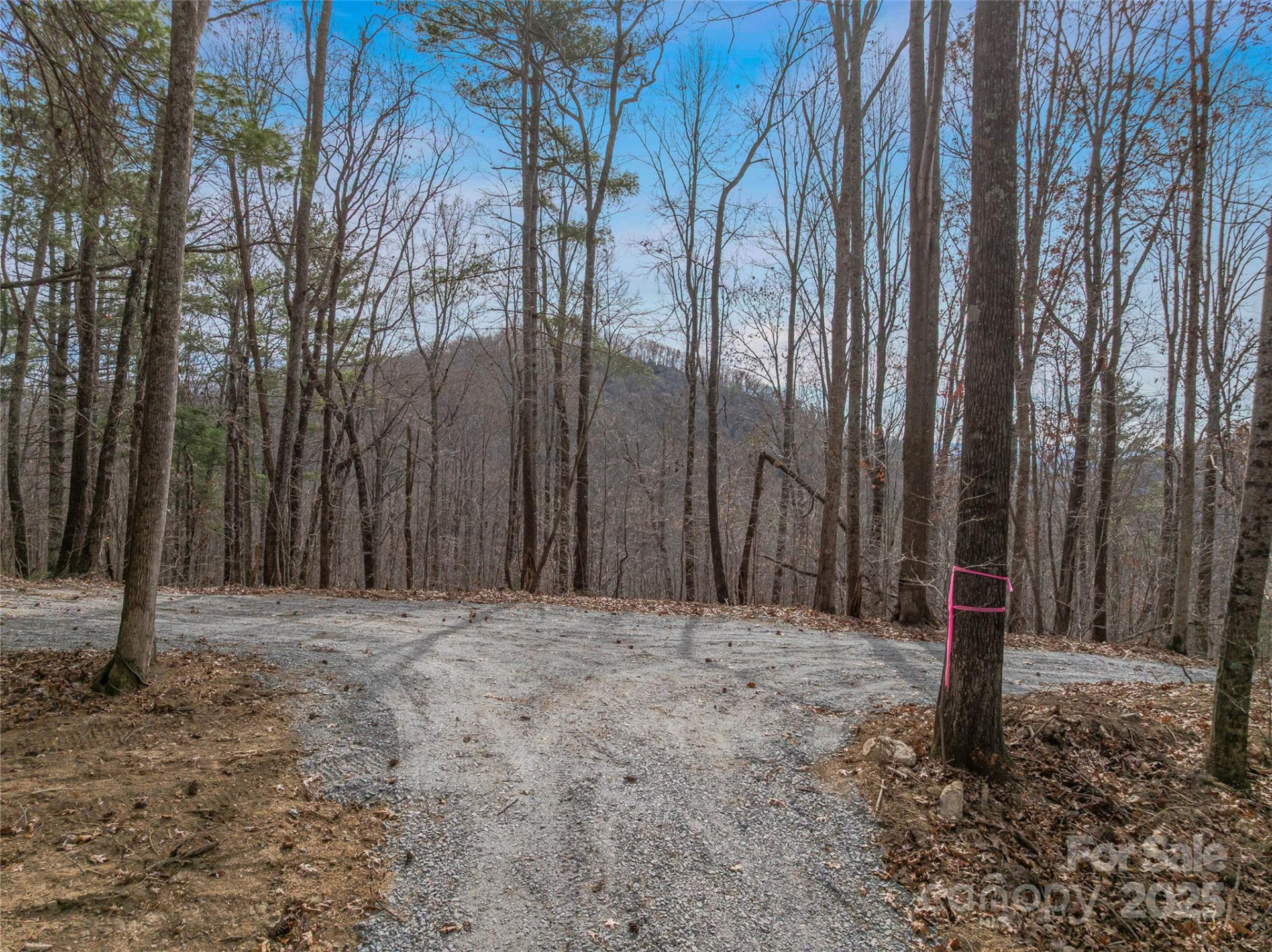 9999-18 Bob Barnwell Road - Photo 9