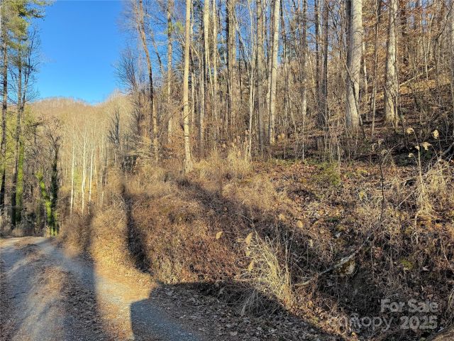 TBD Timberside Drive, Mars Hill, NC, 28754