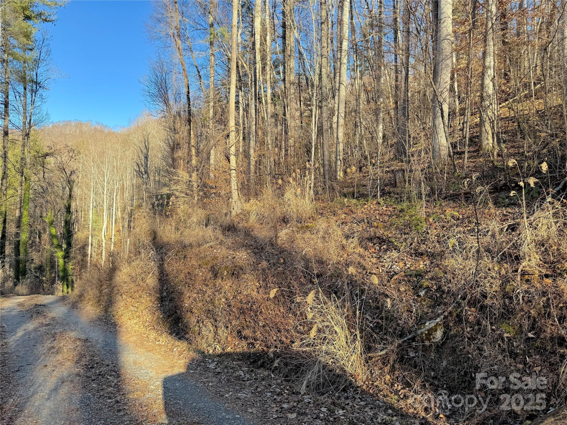 TBD Timberside Drive