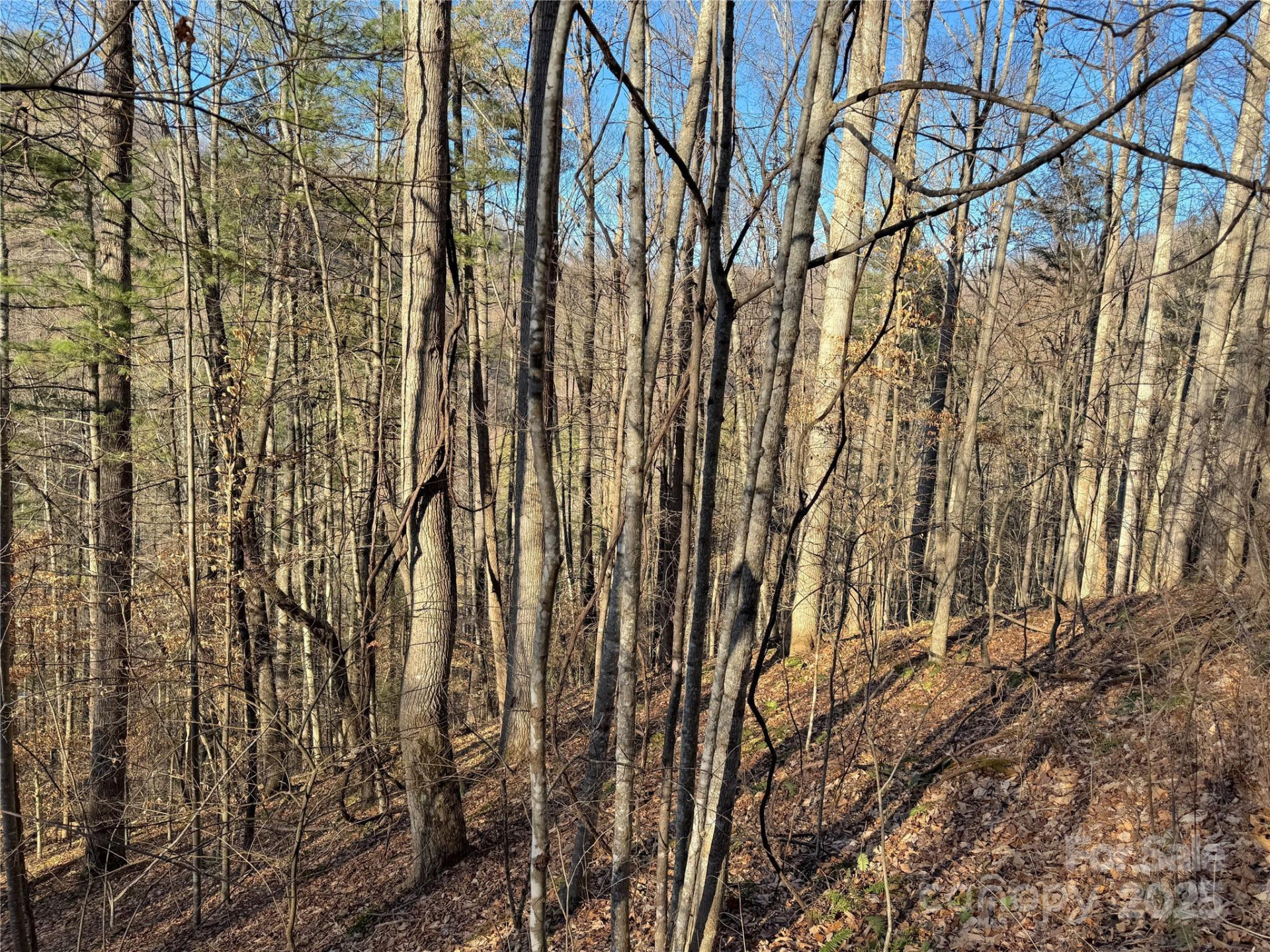 TBD Timberside Drive - Photo 2