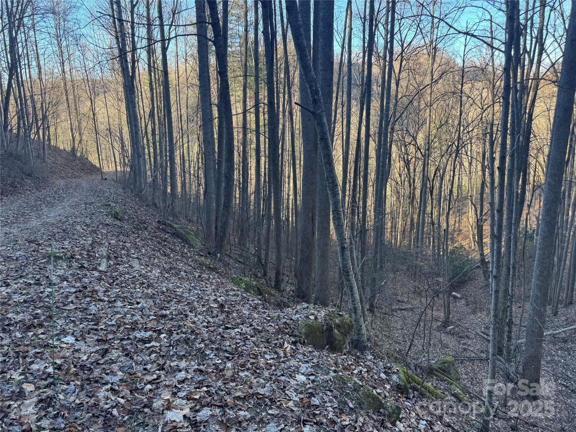 TBD Timberside Drive - Photo 11