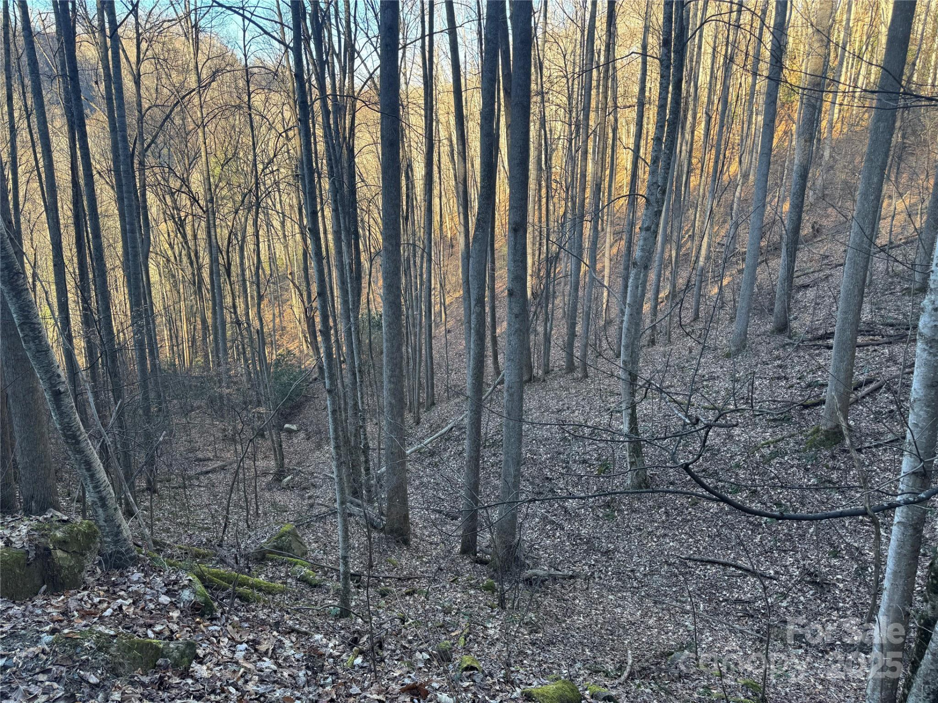 TBD Timberside Drive - Photo 12