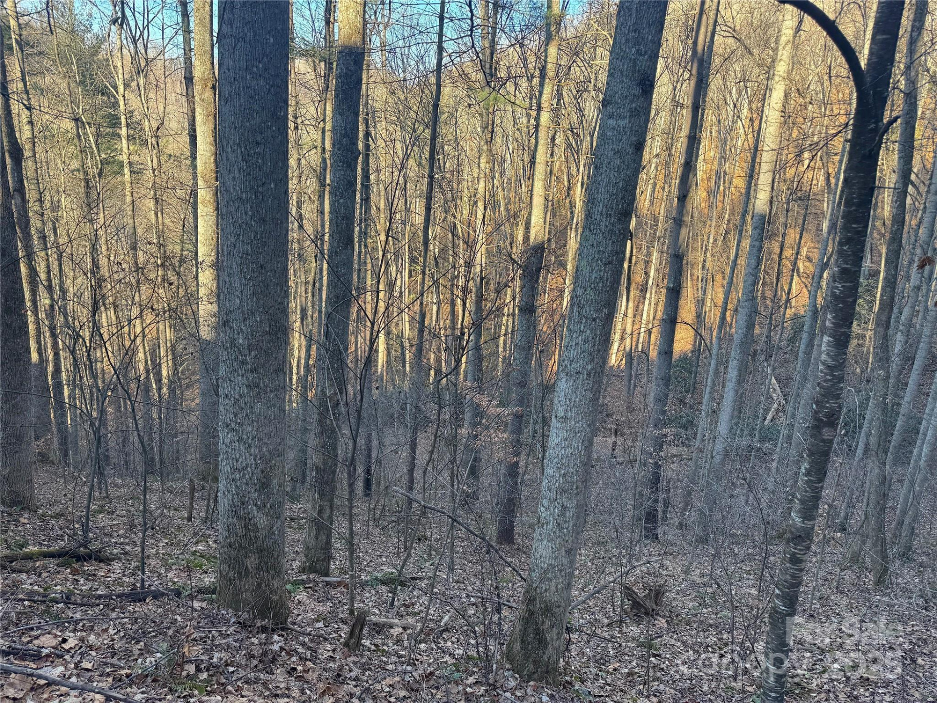 TBD Timberside Drive - Photo 13