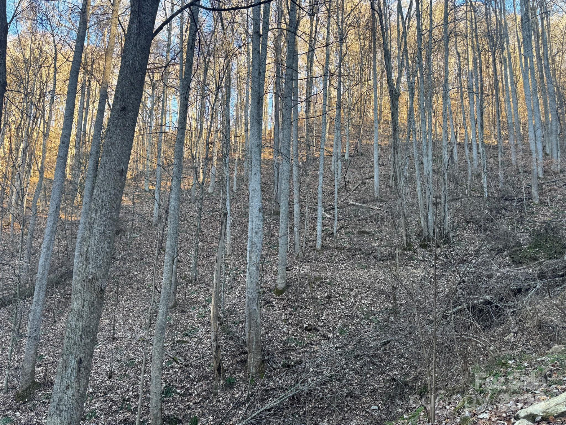 TBD Timberside Drive - Photo 14