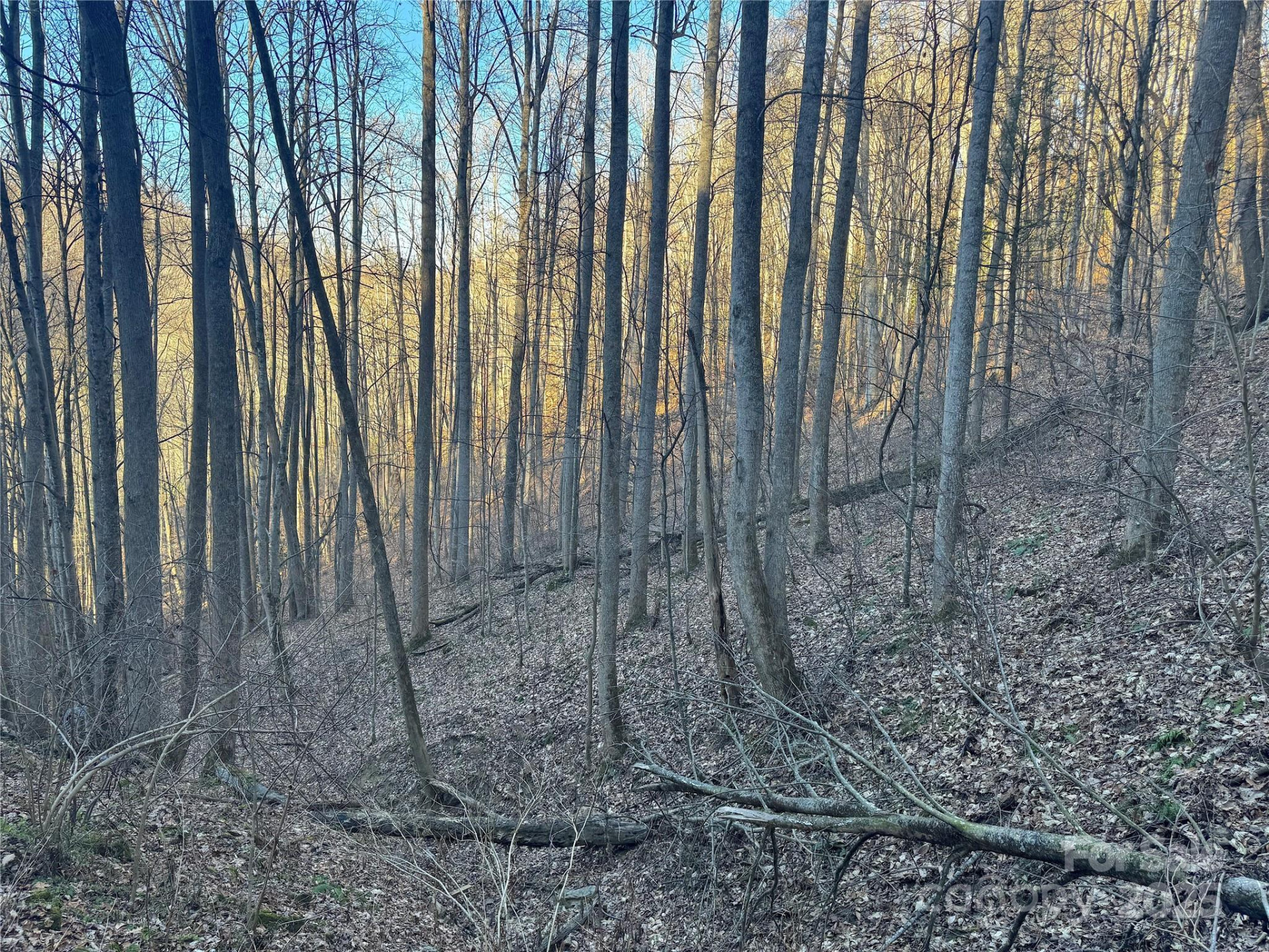 TBD Timberside Drive - Photo 15