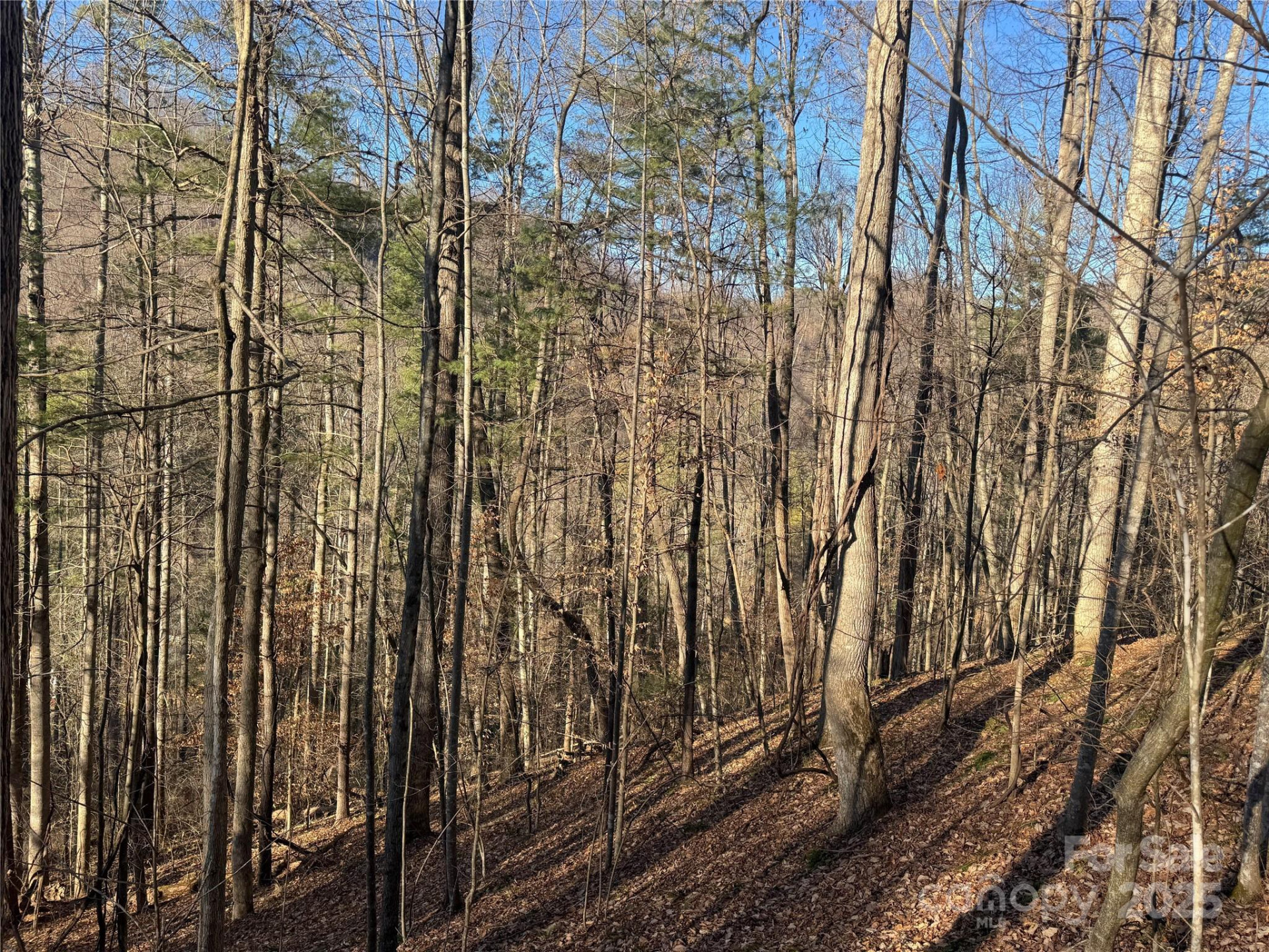 TBD Timberside Drive - Photo 4