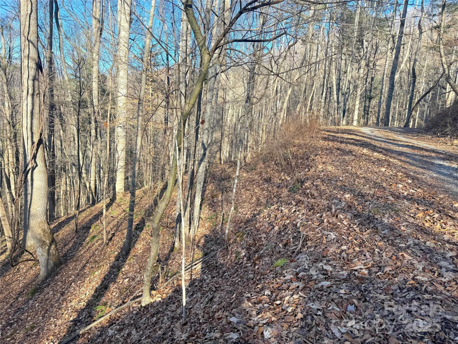 TBD Timberside Drive - Photo 5