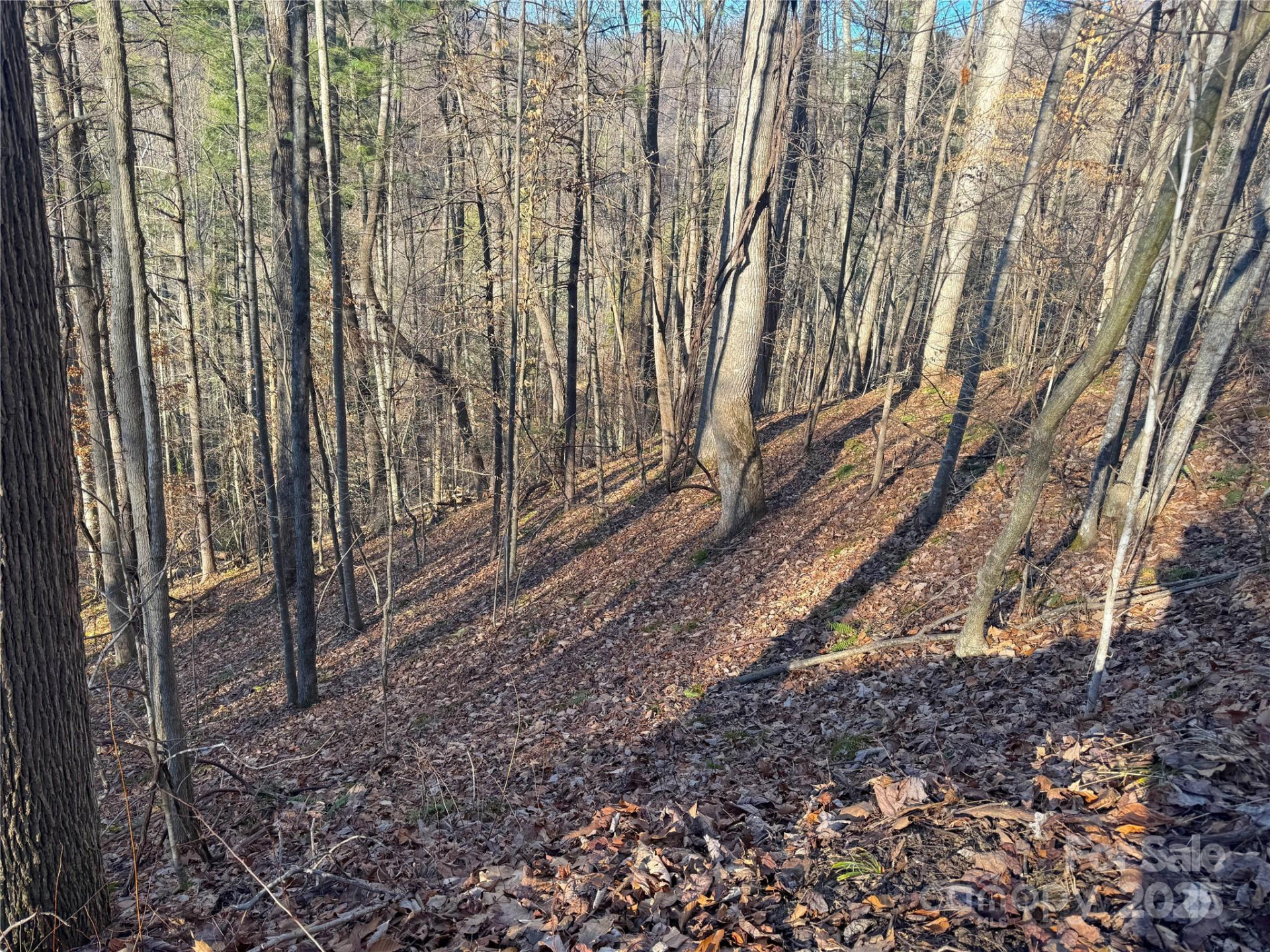 TBD Timberside Drive - Photo 6