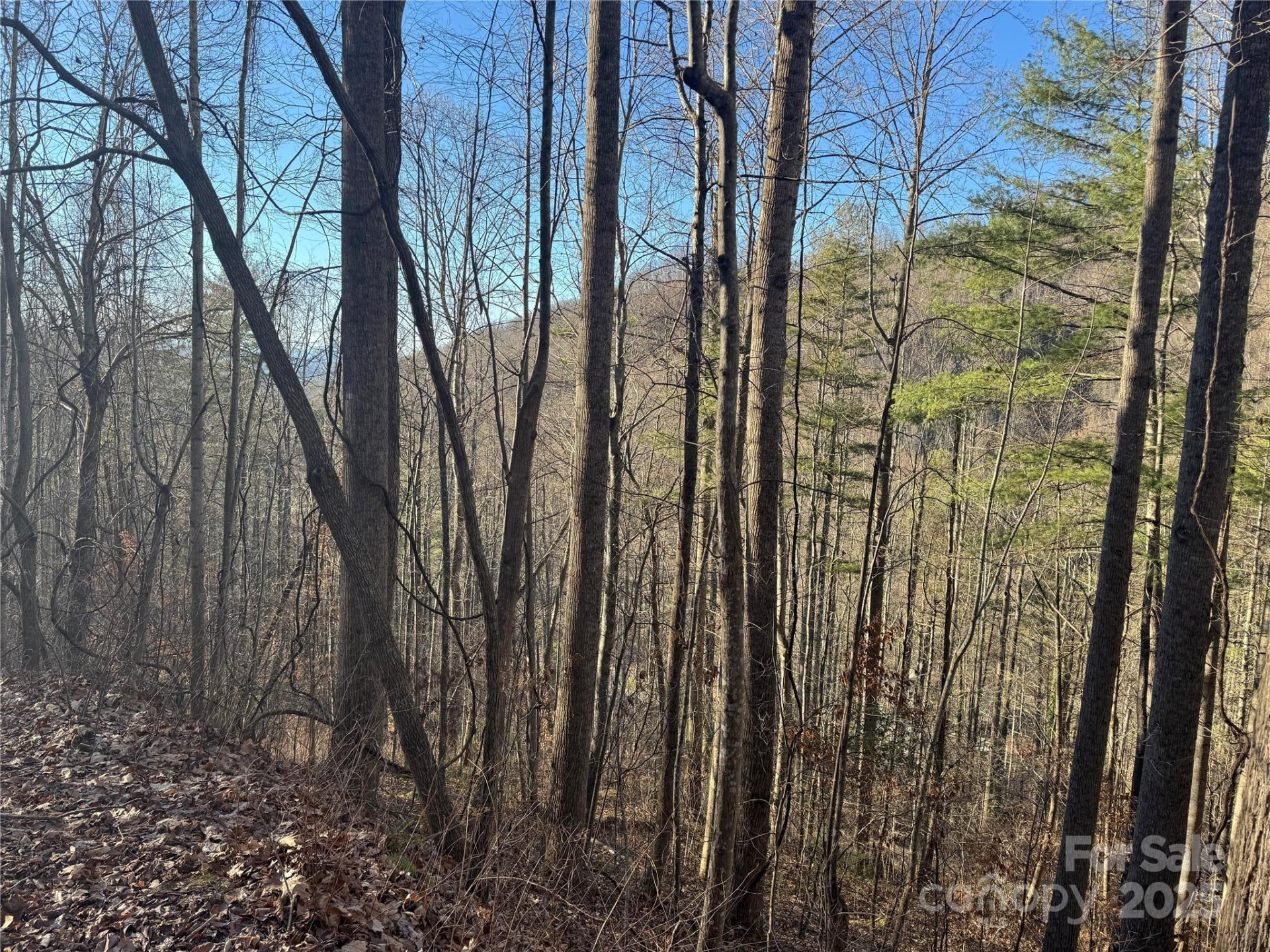 TBD Timberside Drive - Photo 7