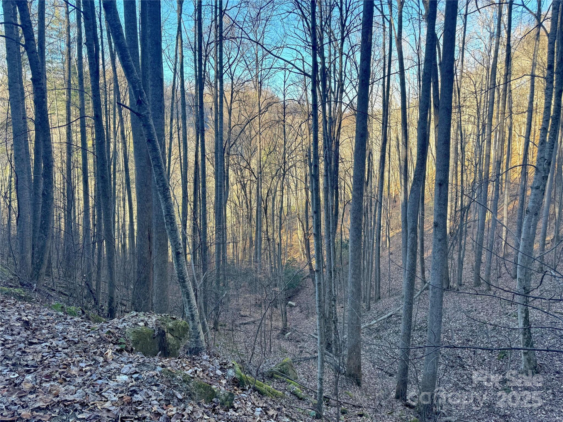 TBD Timberside Drive - Photo 10