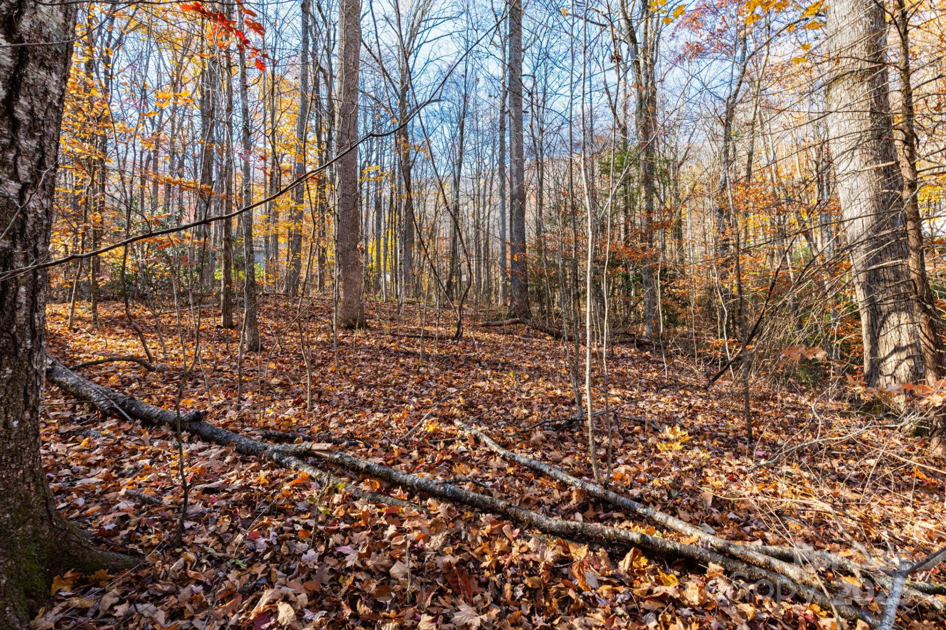 Lot 62 Twinbrook Lane - Photo 4