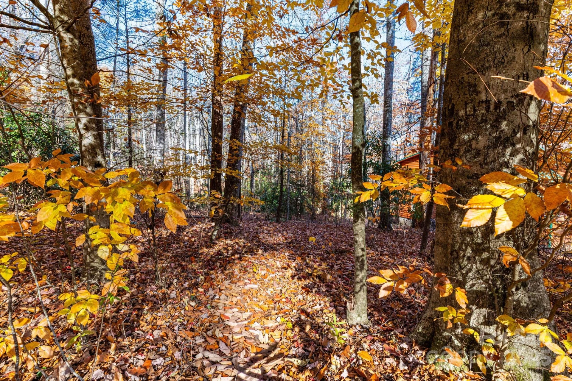 Lot 62 Twinbrook Lane - Photo 7
