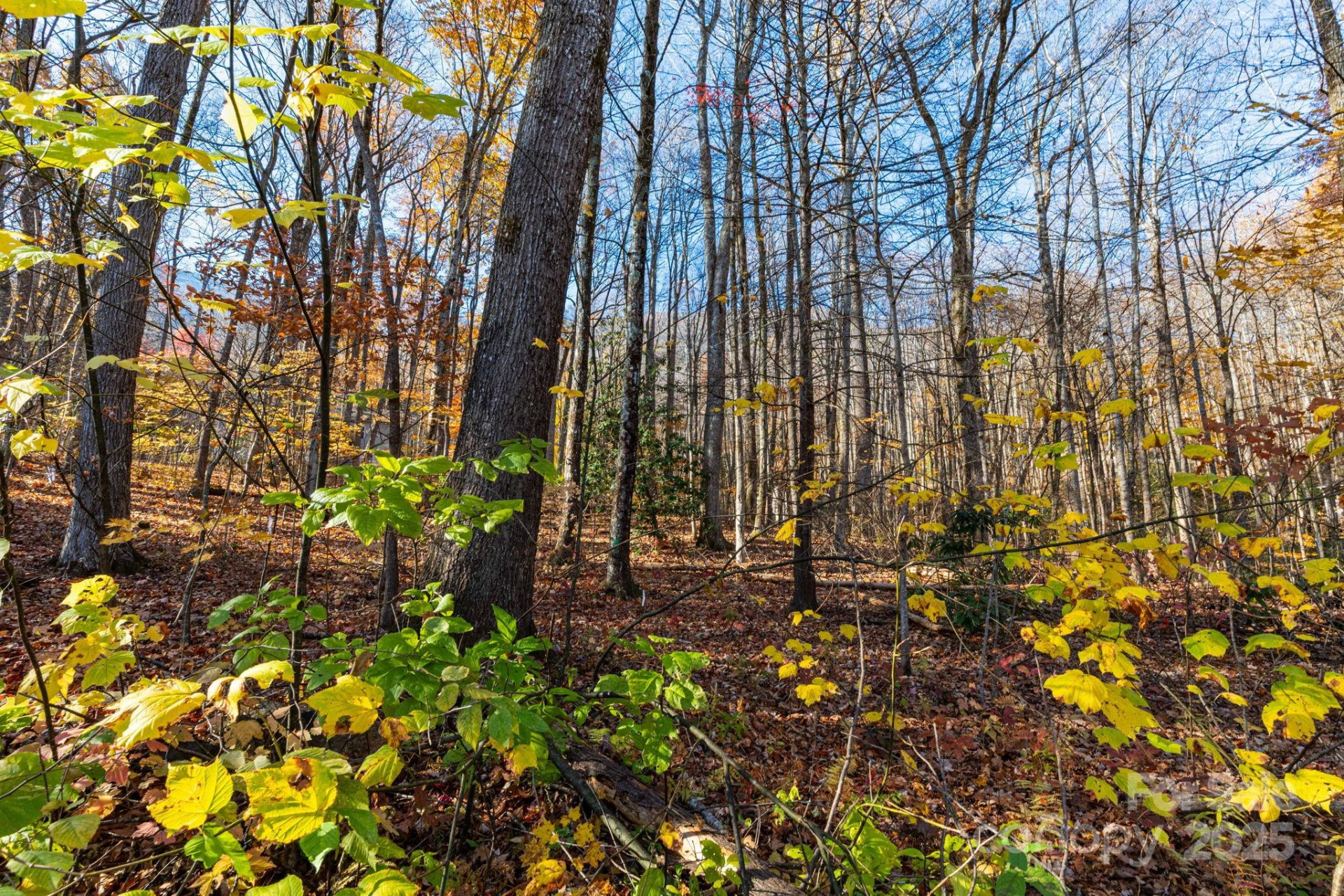 Lot 62 Twinbrook Lane - Photo 8