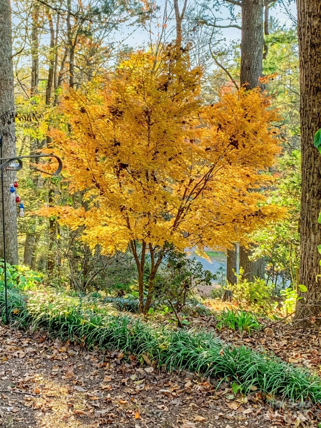 184 Pisgah Shadows Road - Photo 40