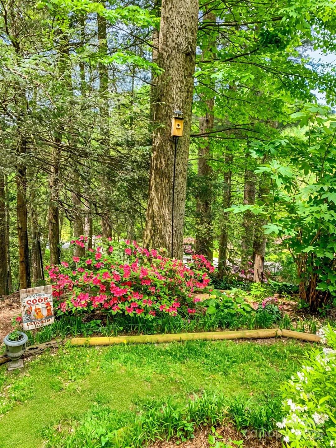 184 Pisgah Shadows Road - Photo 42