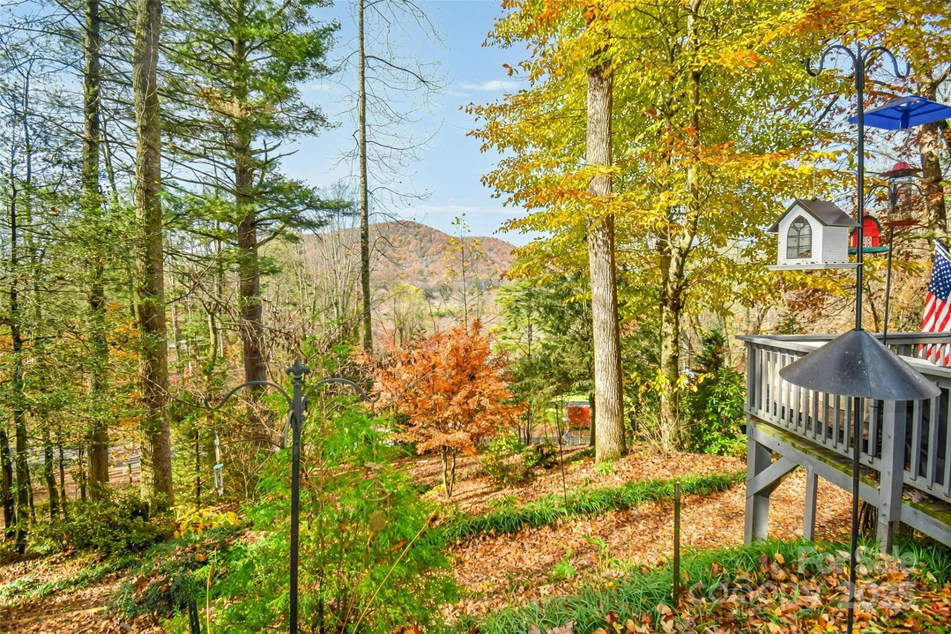 184 Pisgah Shadows Road - Photo 6