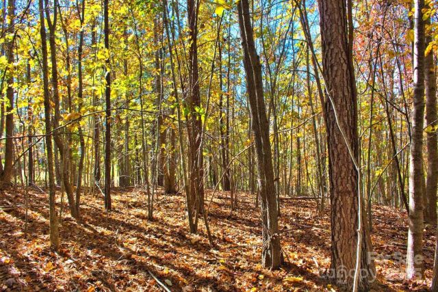 0 Creekside Circle, Rutherfordton, NC, 28139