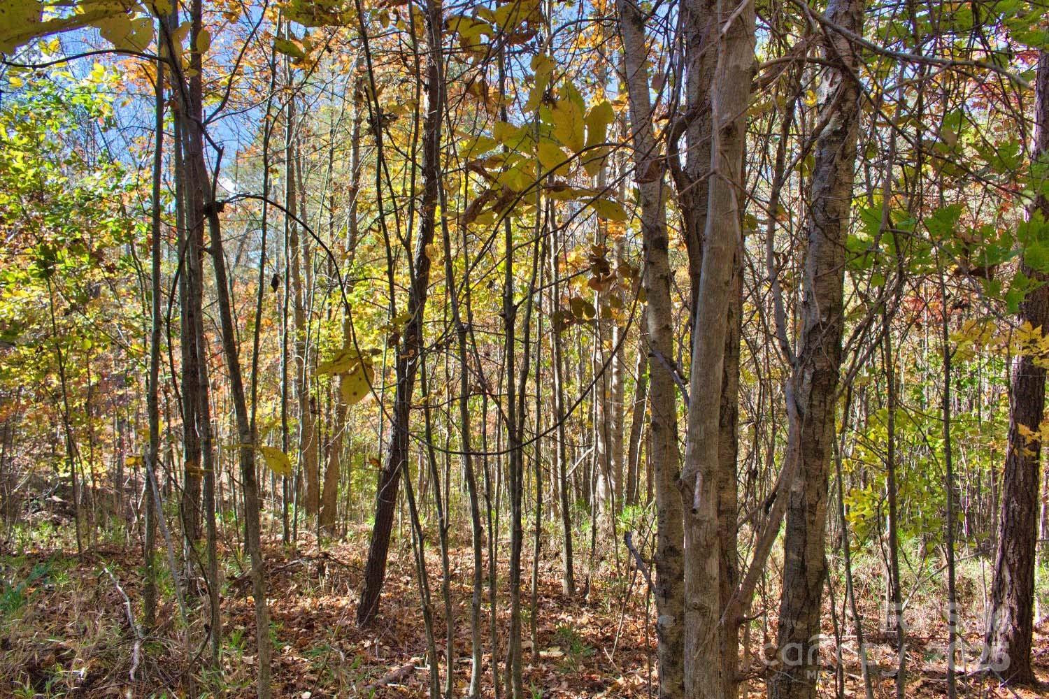 0 Creekside Circle #113 - Photo 2