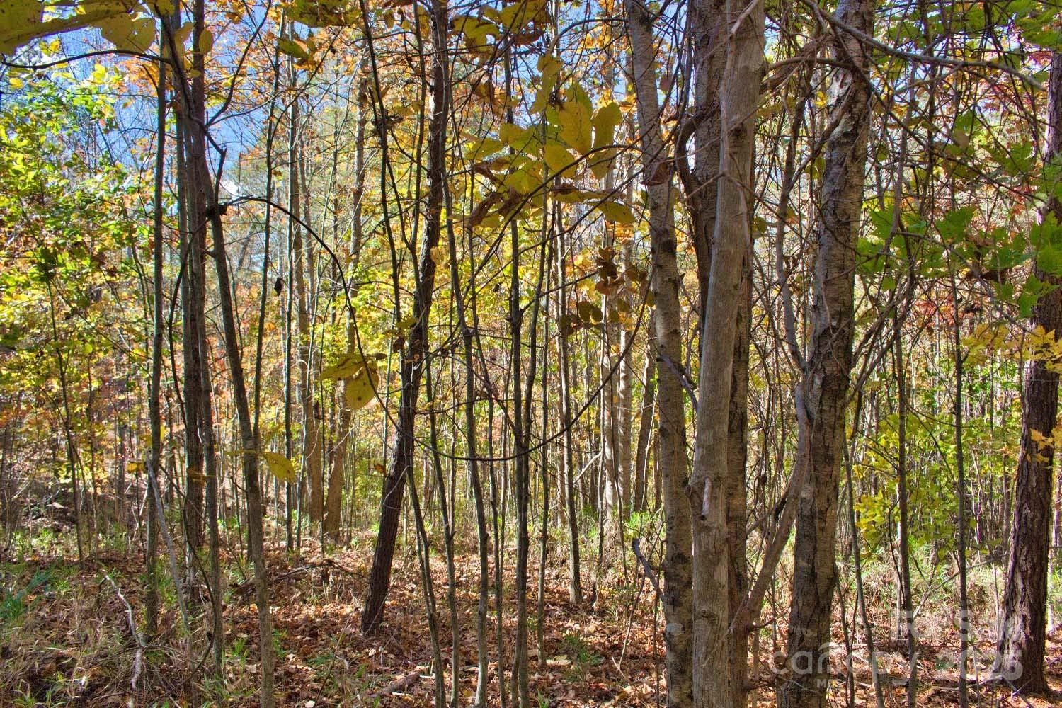 0 Creekside Circle #113 - Photo 2