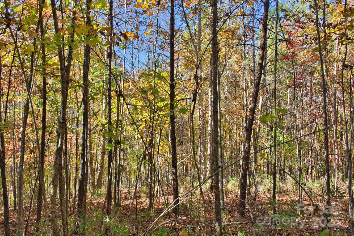 0 Creekside Circle #113 - Photo 3