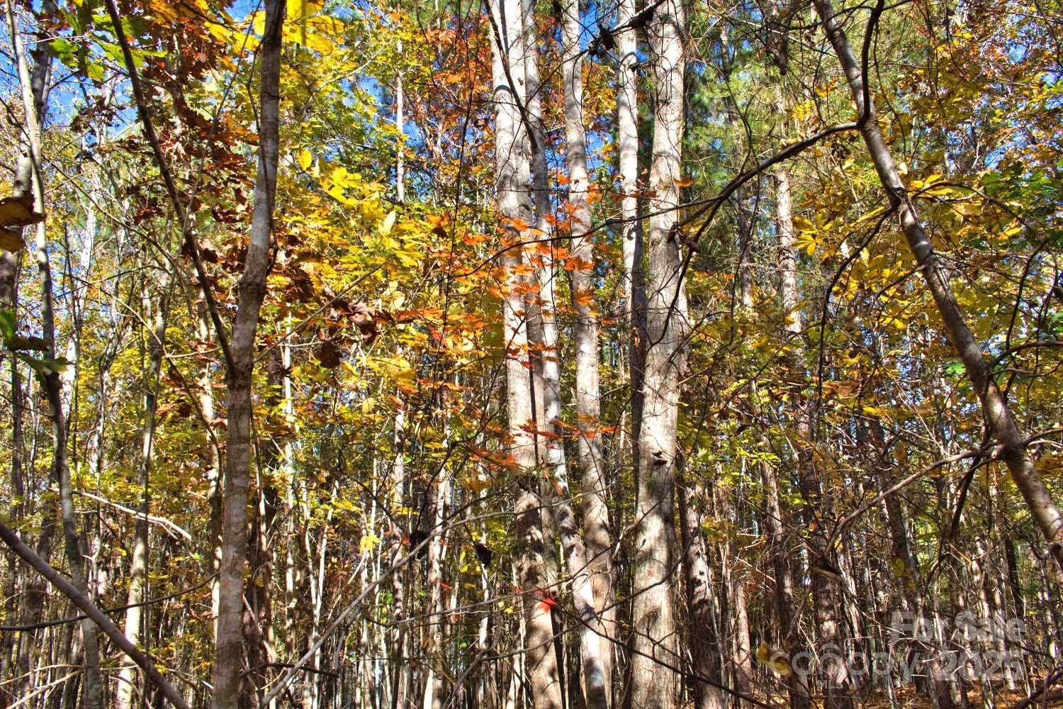 0 Creekside Circle #113 - Photo 4