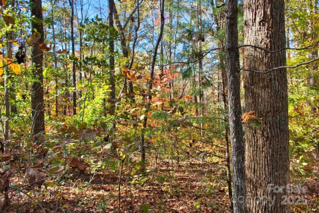 0 Bitteroot Circle, Rutherfordton, NC, 28139