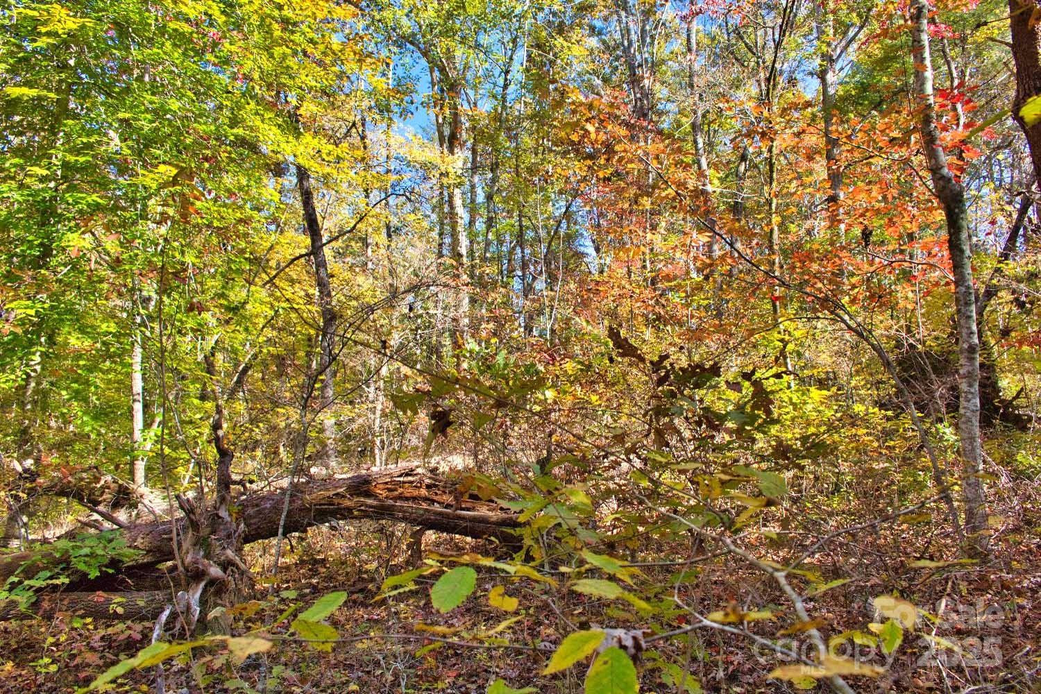 0 Bitteroot Circle #294 - Photo 2