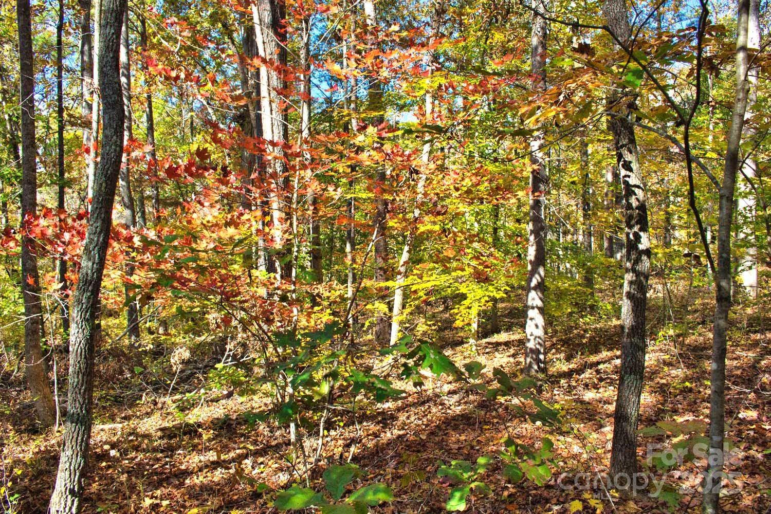 0 Bitteroot Circle #294 - Photo 3