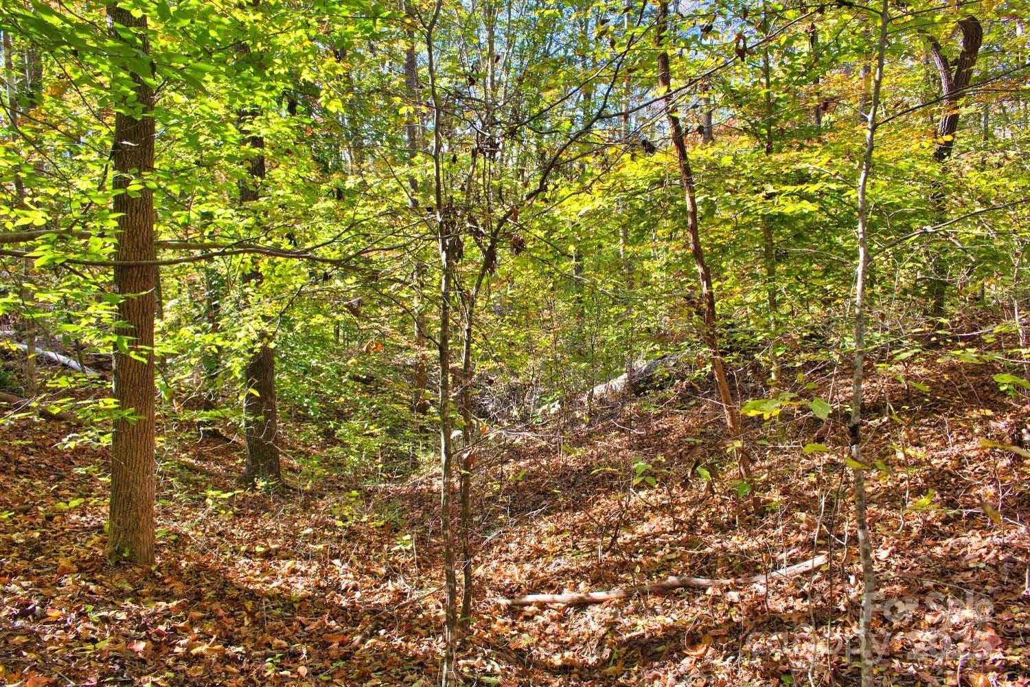 0 Bitteroot Circle #294 - Photo 4