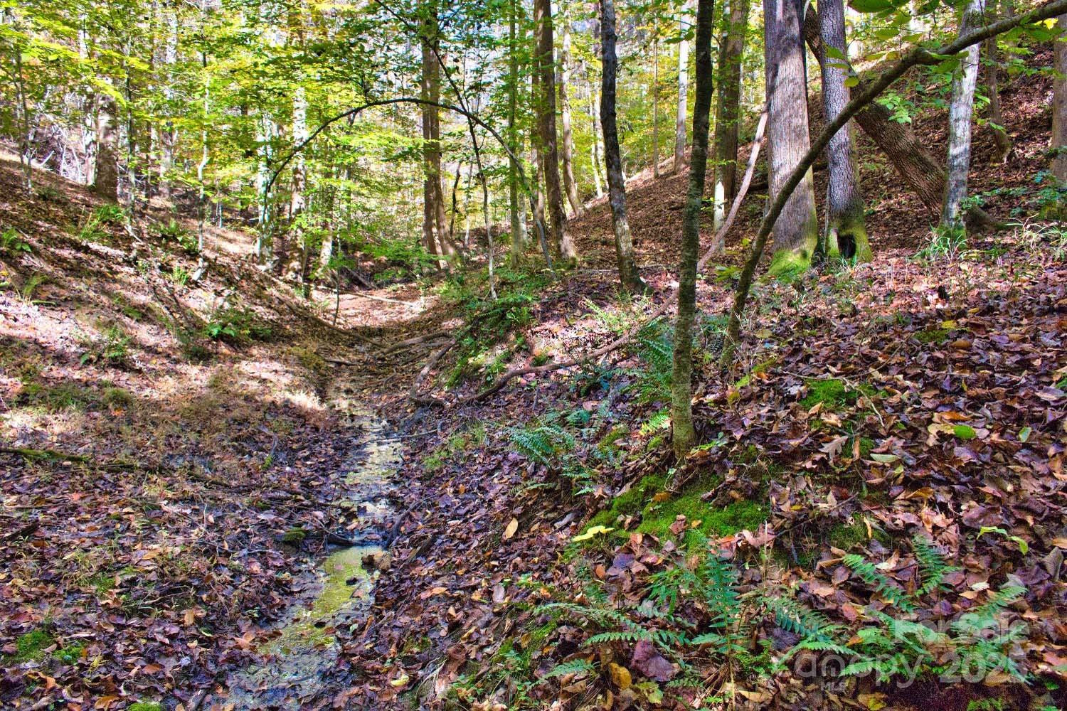 0 Bitteroot Circle #294 - Photo 5