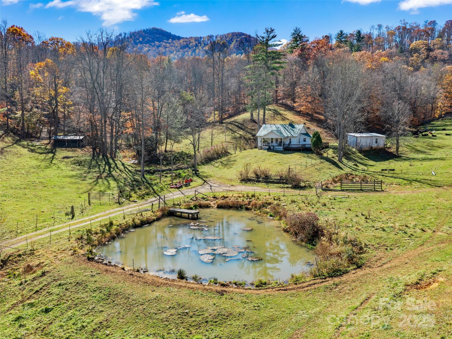 321 Lyle Lane