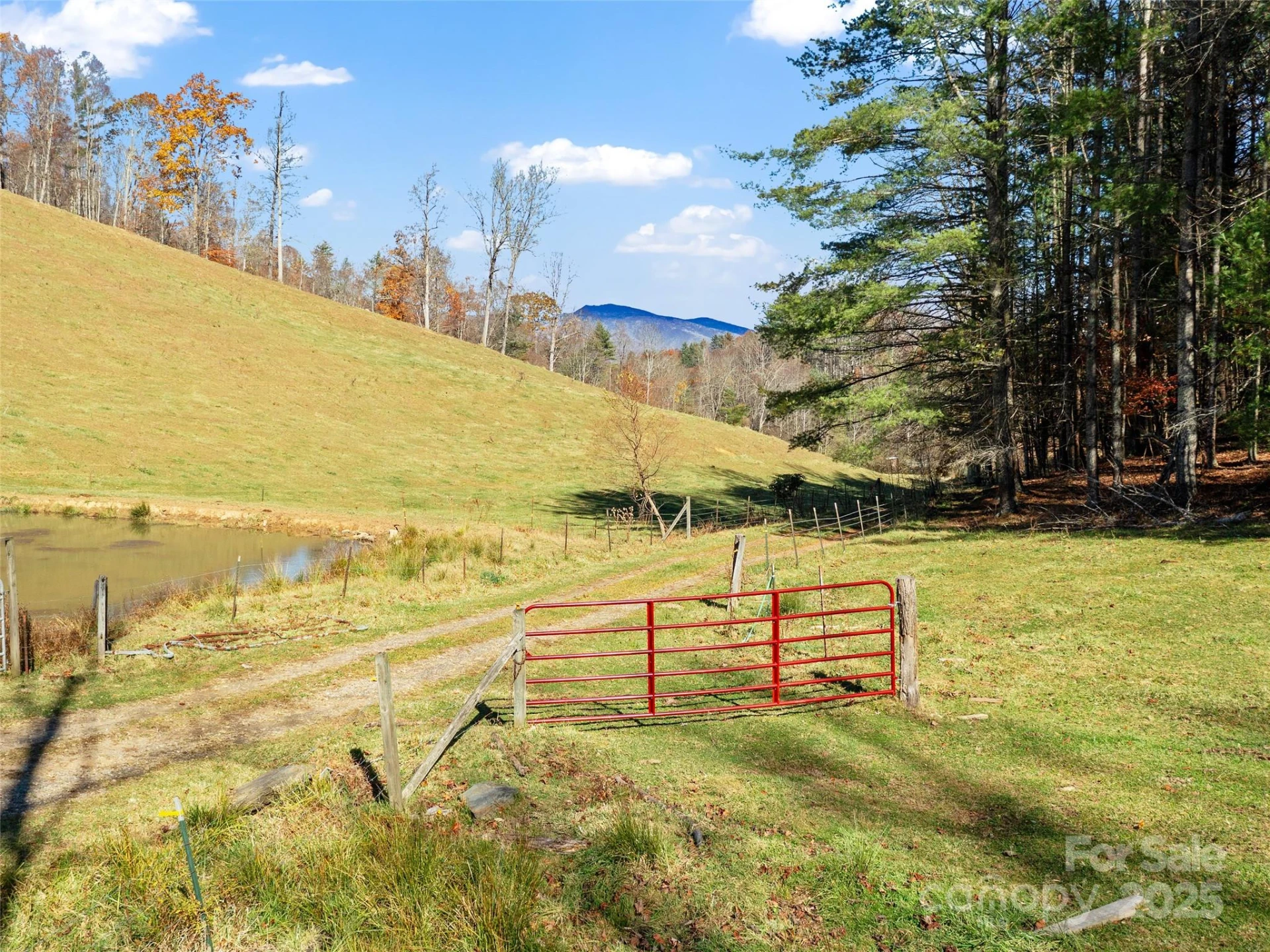 321 Lyle Lane - Photo 17