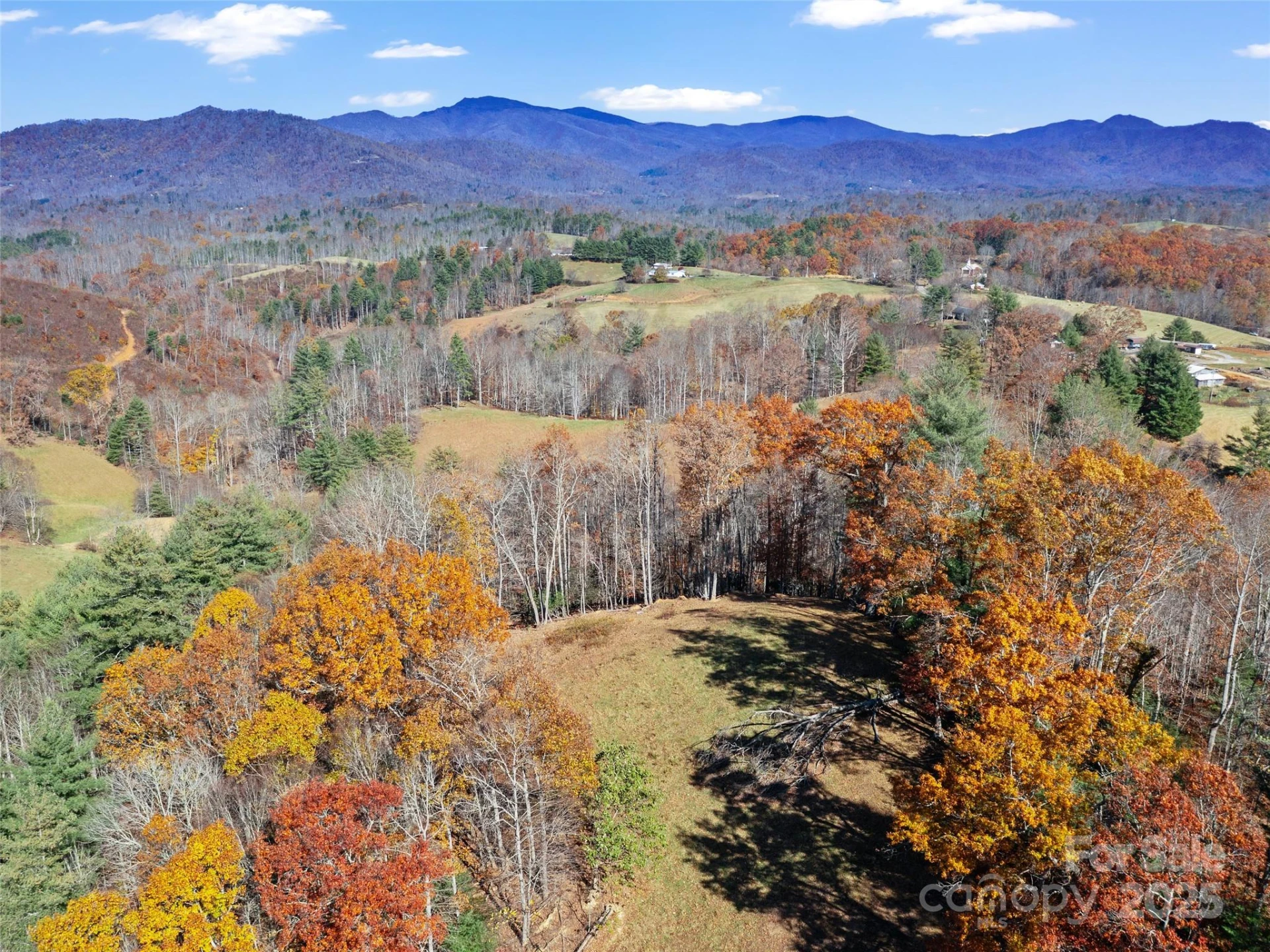 321 Lyle Lane - Photo 6
