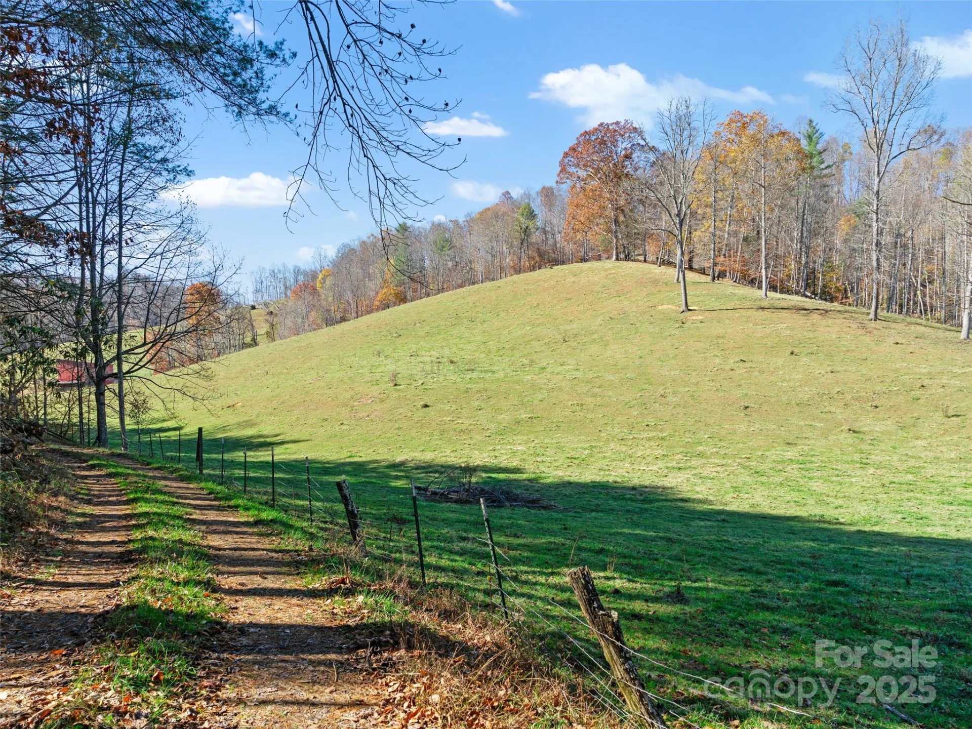 321 Lyle Lane - Photo 7
