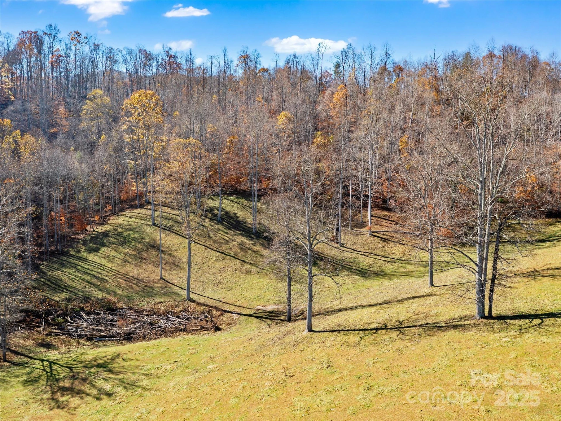 321 Lyle Lane - Photo 8