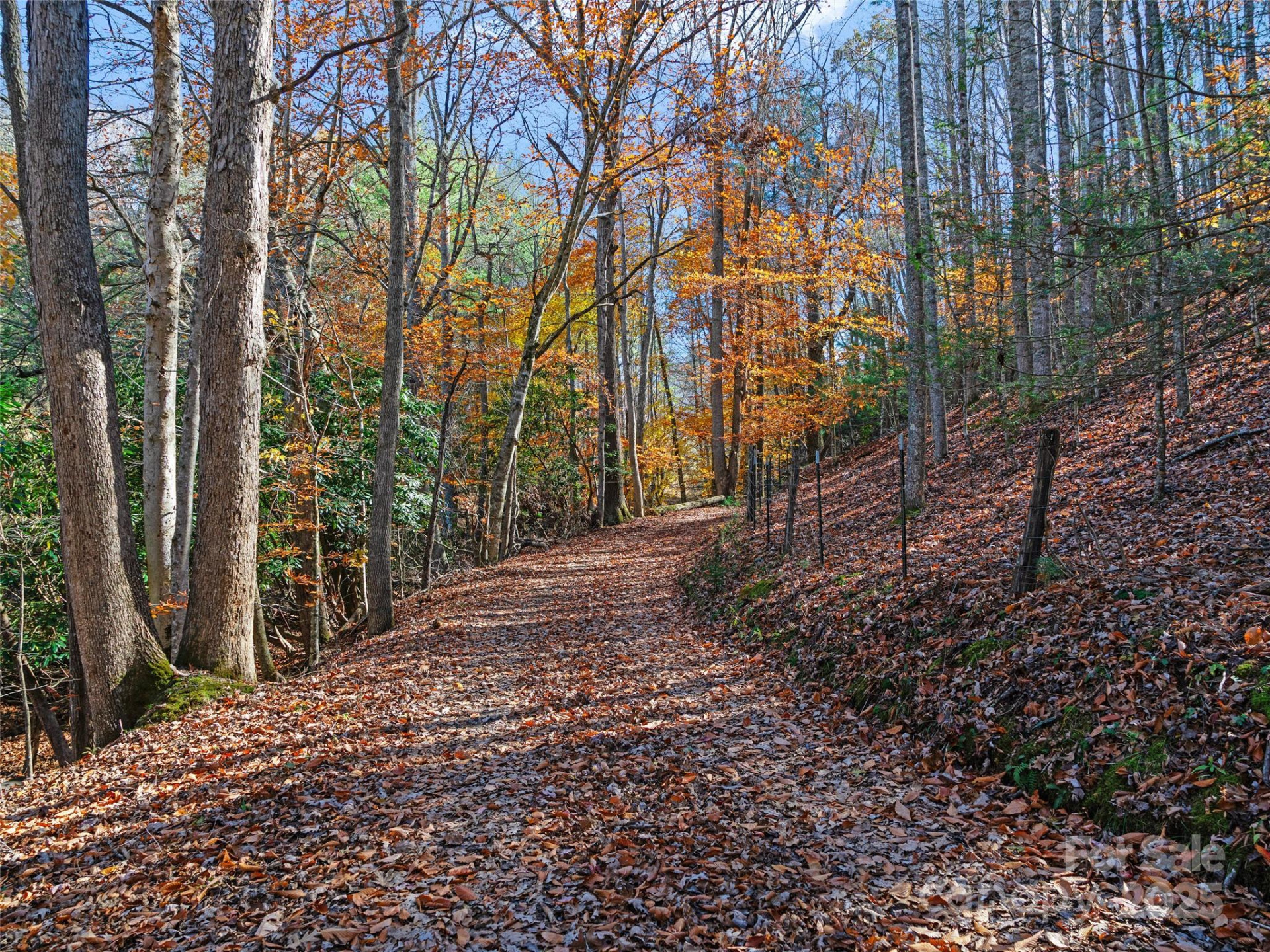 321 Lyle Lane - Photo 9