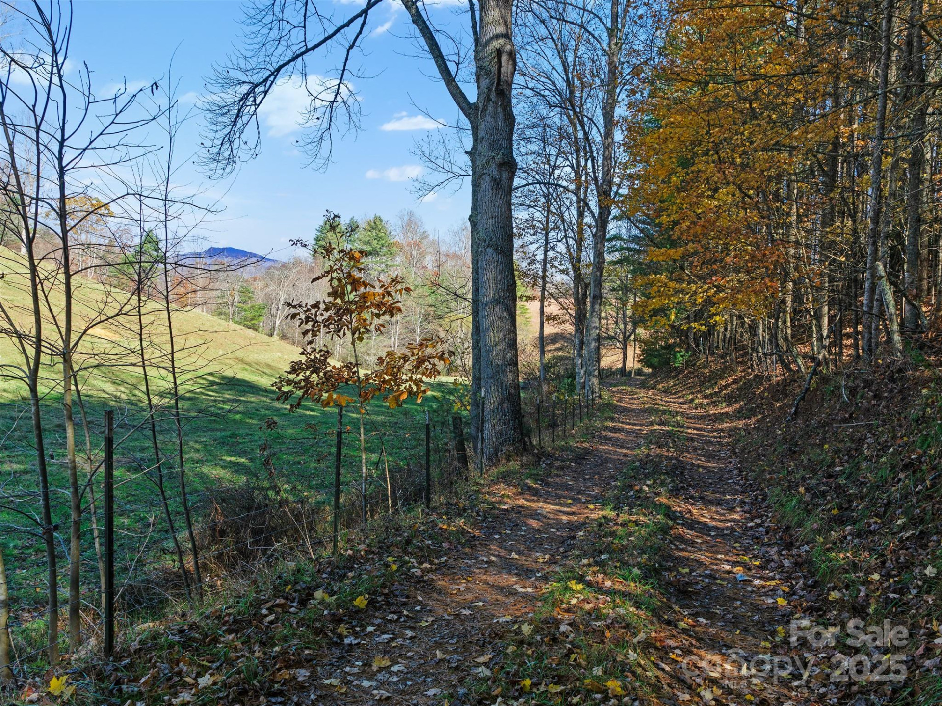 321 Lyle Lane - Photo 10