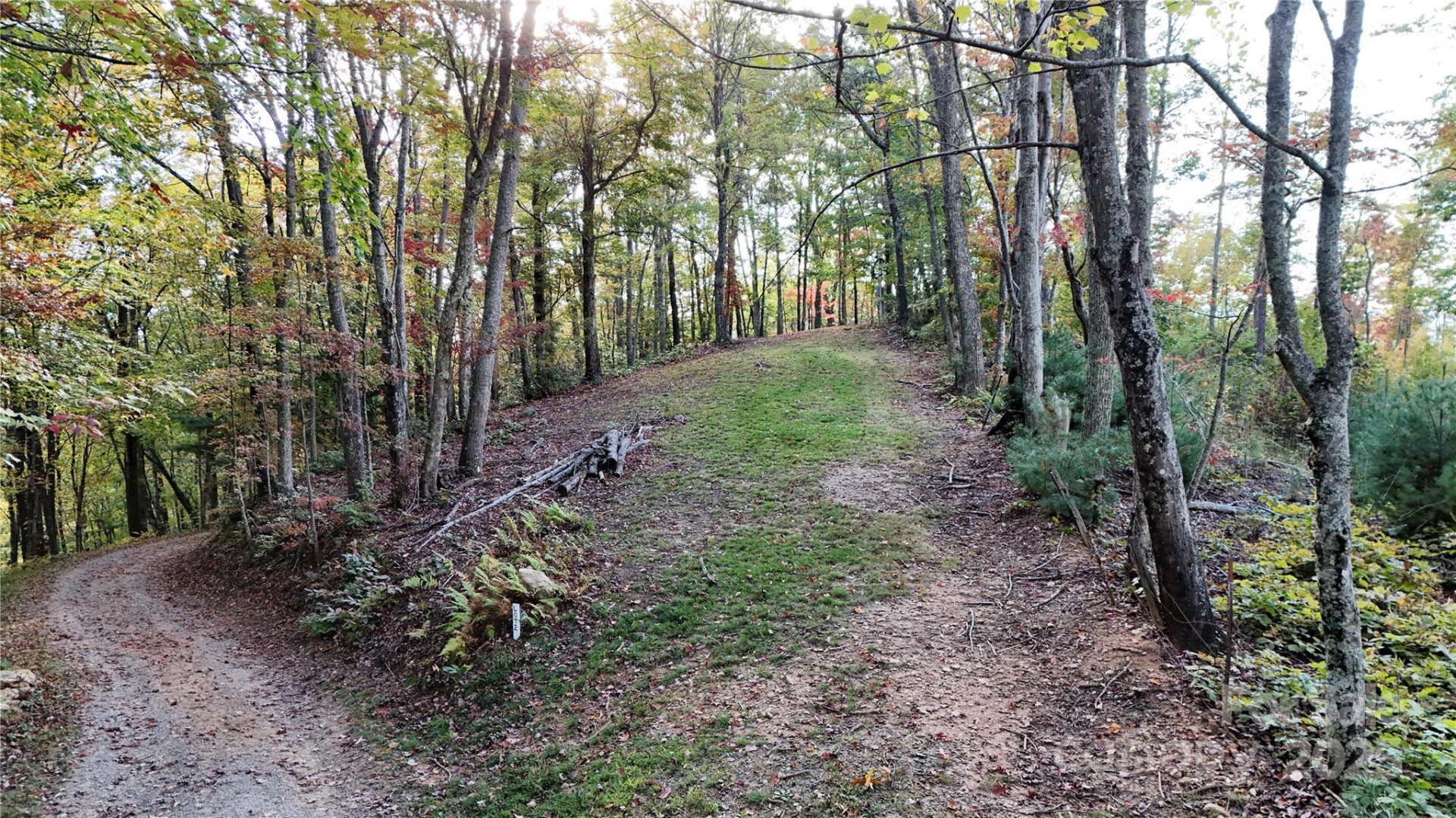 2 Roberts Mountain Road #2 - Photo 2