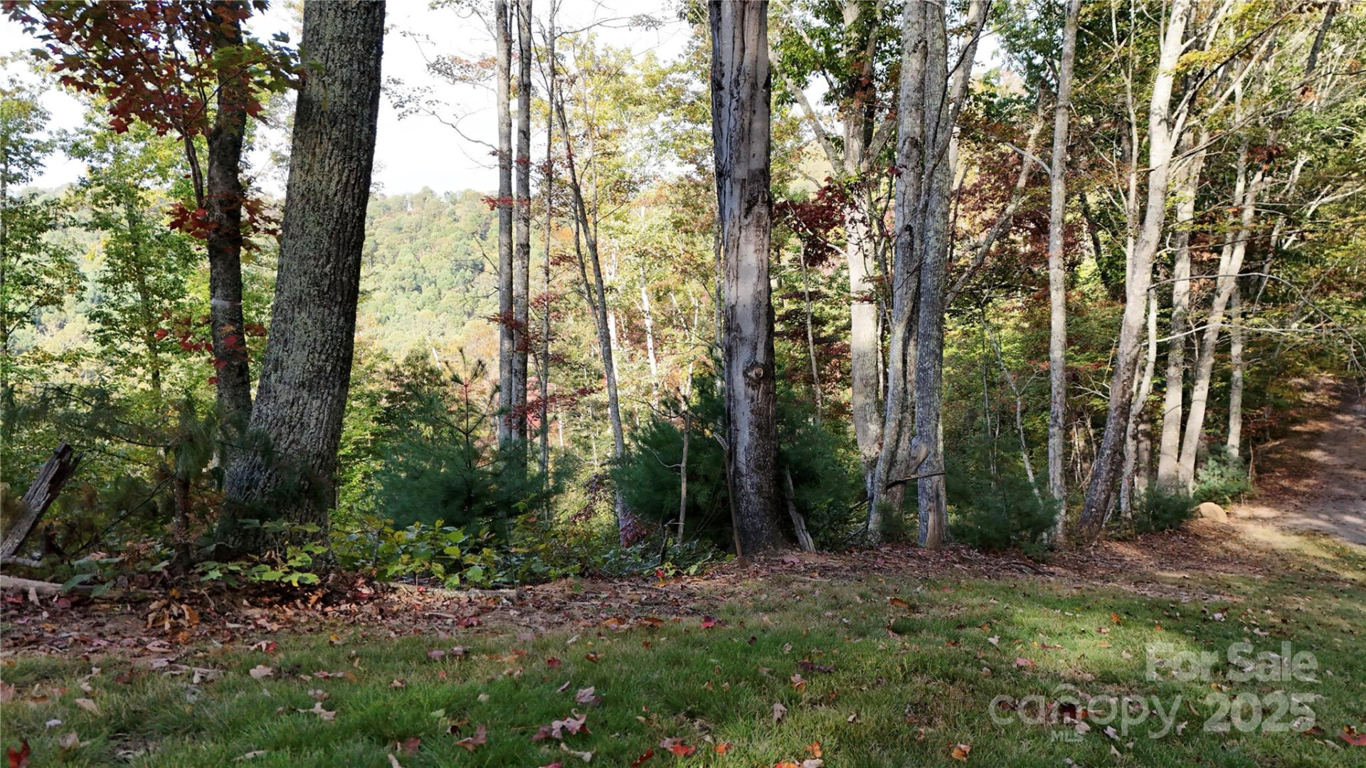 2 Roberts Mountain Road #2 - Photo 12