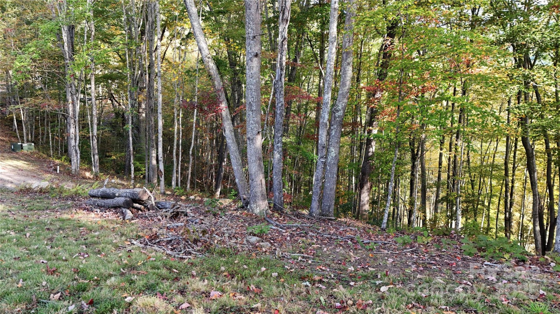 2 Roberts Mountain Road #2 - Photo 3