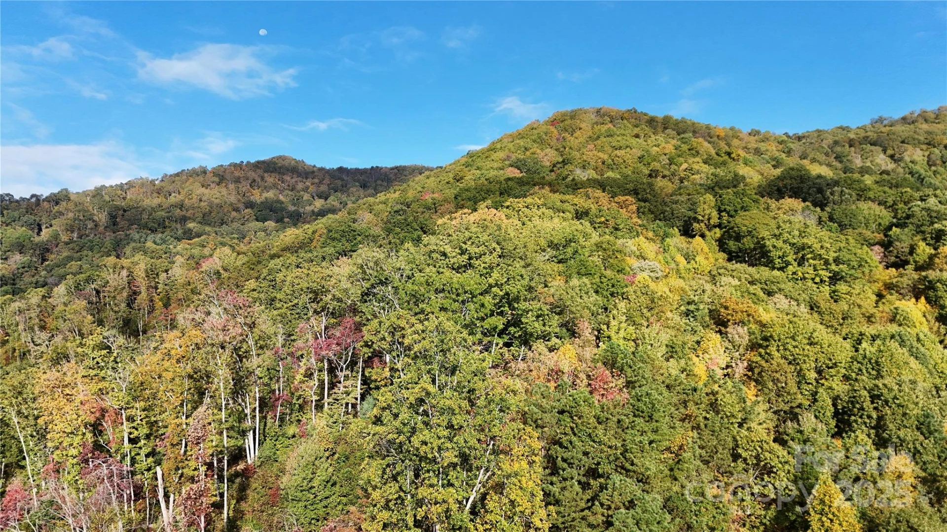 2 Roberts Mountain Road #2 - Photo 24